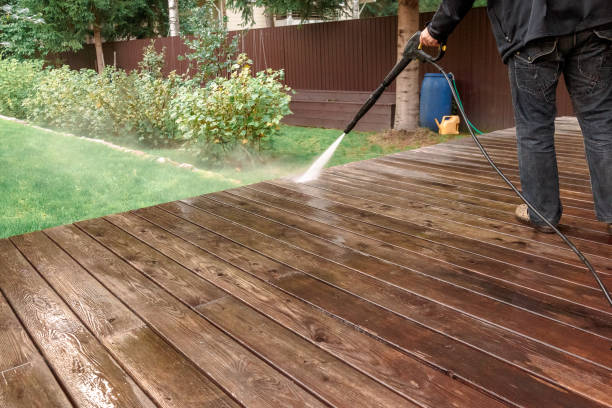 Best Animal Enclosure Cleaning  in Steubenville, OH
