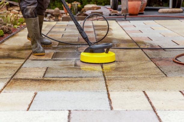 Best Pre-Holiday Cleaning  in Steubenville, OH