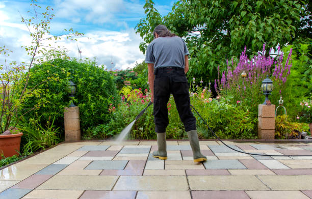 Best Winterizing Services  in Steubenville, OH