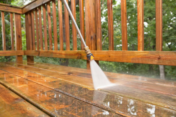 Animal Enclosure Cleaning in Steubenville, OH
